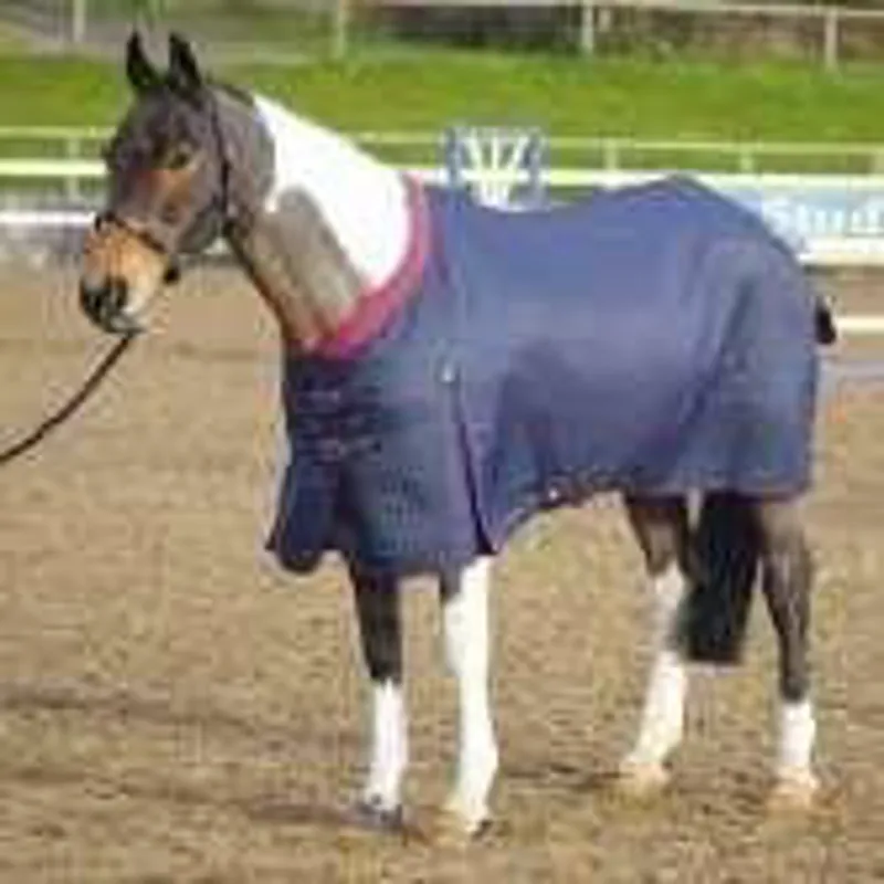 Westbourne Rug 